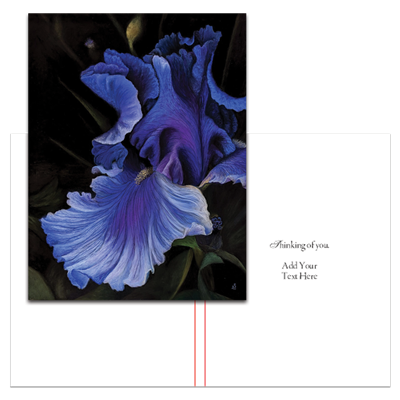 Purple Reign Dancer (Type Only)