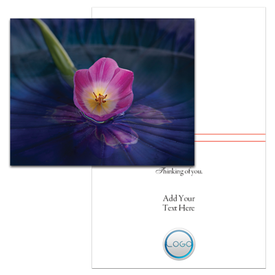 Signs of Spring (with Logo/Photo)